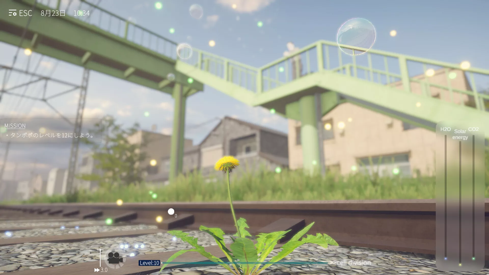 蒲公英不屈。/The Dandelion Endures. 新游发布